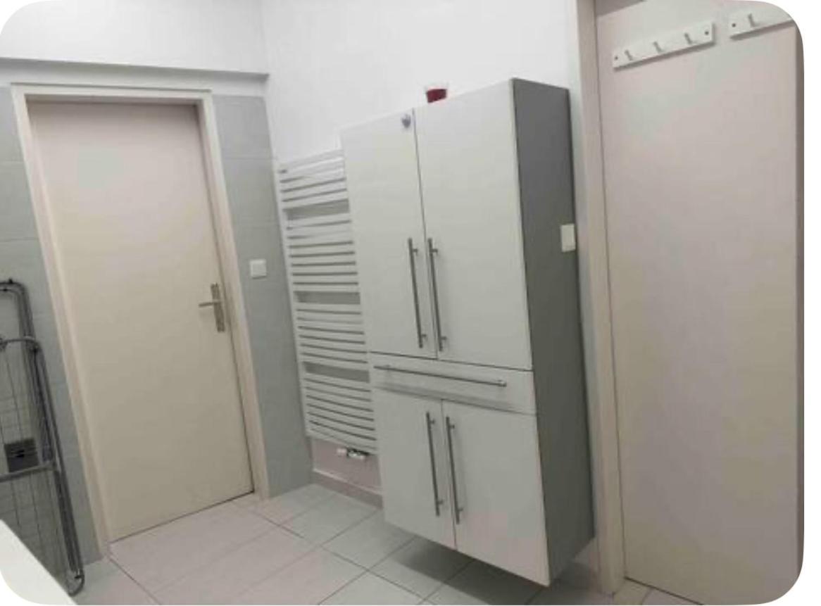 Klimatisiertes Dachgeschoss City Apartment In Zentrum Wiens Ngoại thất bức ảnh